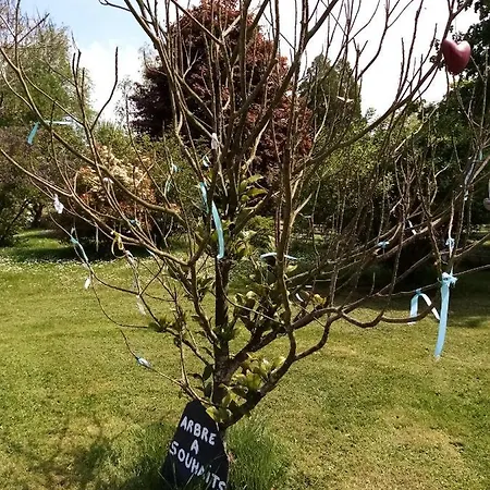 Petit 30m2, 3 Lits, De 1 A 4 Pers *