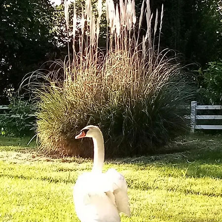 Petit 30m2, 3 Lits, De 1 A 4 Pers Apartment *