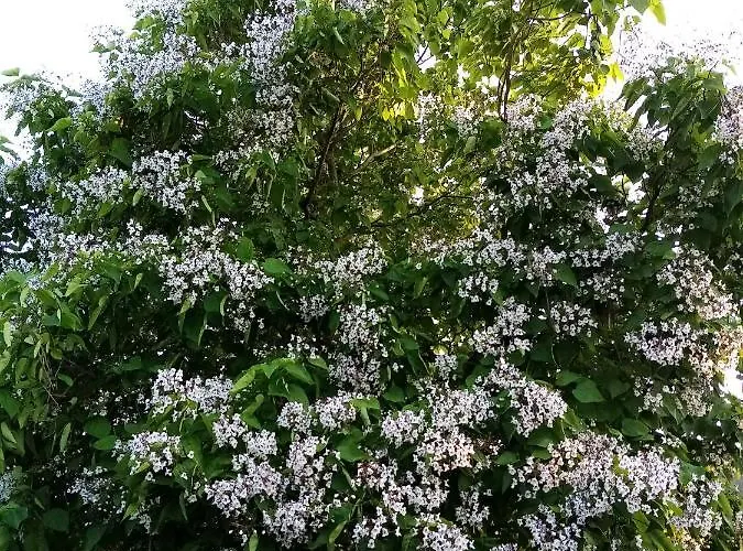 Petit 30m2, 3 Lits, De 1 à 4 Pers Neuilly (Eure)