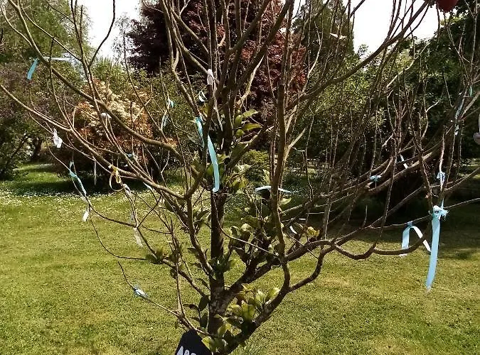 Petit 30m2, 3 Lits, De 1 à 4 Pers *