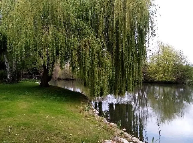 Appartement Petit 30m2, 3 Lits, De 1 à 4 Pers