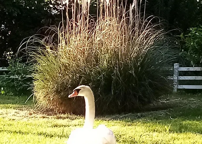 Petit 30m2, 3 Lits, De 1 à 4 Pers Appartement *